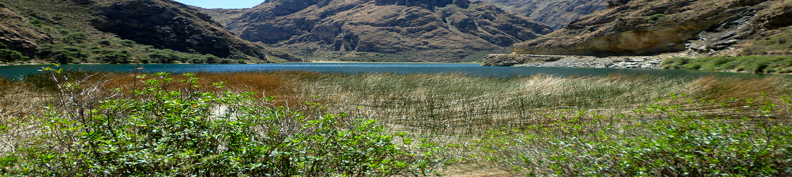 banner-interior2