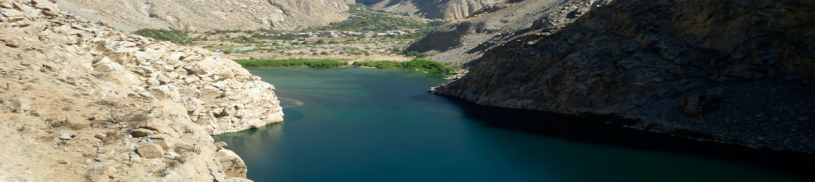 banner-interior3